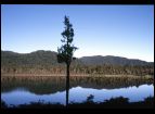 Lake Moeraki.jpg